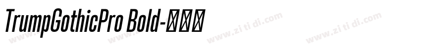TrumpGothicPro Bold字体转换